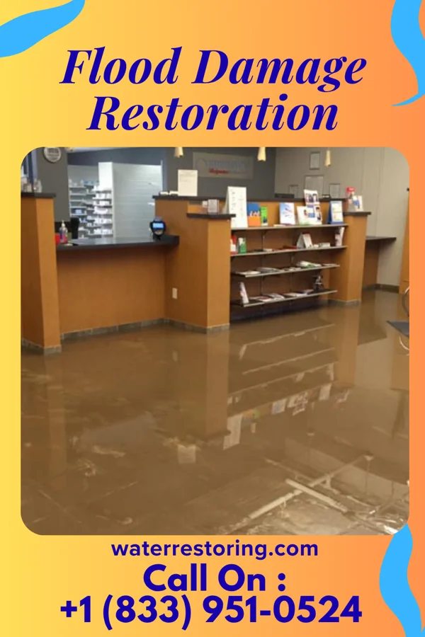 Flood Damage Restoration in Chums Corner, MI