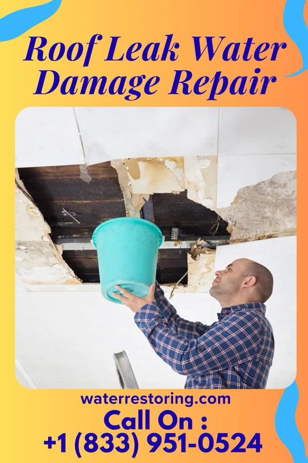 Roof Leak Water Damage Repair in Chums Corner, MI