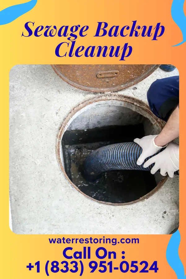 Sewage Backup Cleanup in Chums Corner, MI